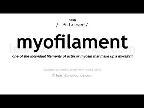 Pronunciation of Myofilament | Definition of Myofilament