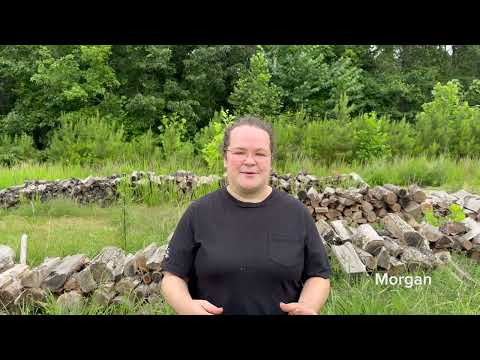The Elephant Sanctuary | Animal Sanctuary Caregiver Day 2025