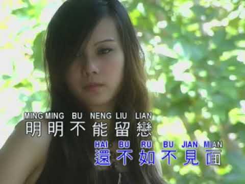 SAN NIAN 三念 | LAGU MANDARIN NOSTALGIA | LAGU MANDARIN LAMA | LEE YEE 李逸