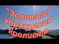 "Золотые упражнения кролиста"