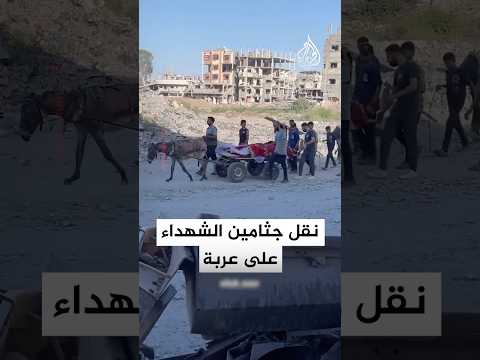 فلسطينيون في غزة ينقلون جثامين شهداء على عربة بعد انتشالها من تحت الركام