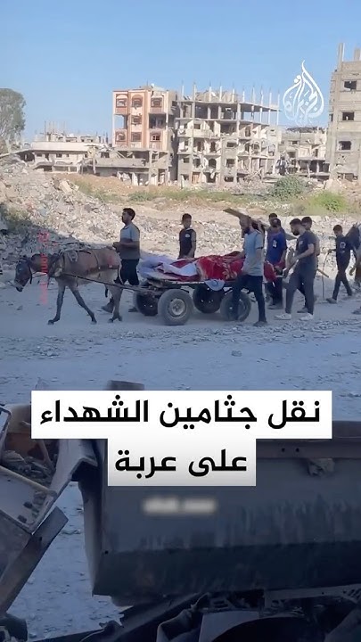             
 - نشر قبل 39 دقيقة