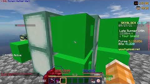 Bug i found in hypixel skyblock