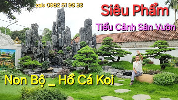 Tiểu Cảnh Sân Vườn Đẹp/Thợ Làm Tiểu Cảnh Non Bộ Hồ Cá Koi Tại Hà Nam