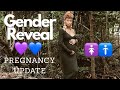 PREGNANCY BODY CHANGES + GENDER REVEAL