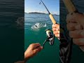POV:대어 낚시 시점 #fishing #ai #shorts