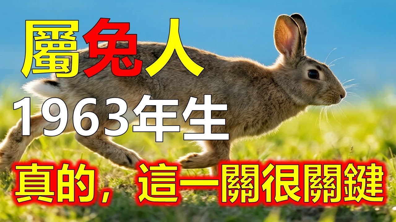 1963年屬兔人，大錢不是一次來，是一波接一波出現#2026兔#生肖兔#1963 兔