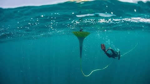 Sofar Ocean x MTS Webinar: Smart Mooring — What’s Coming in 2023?