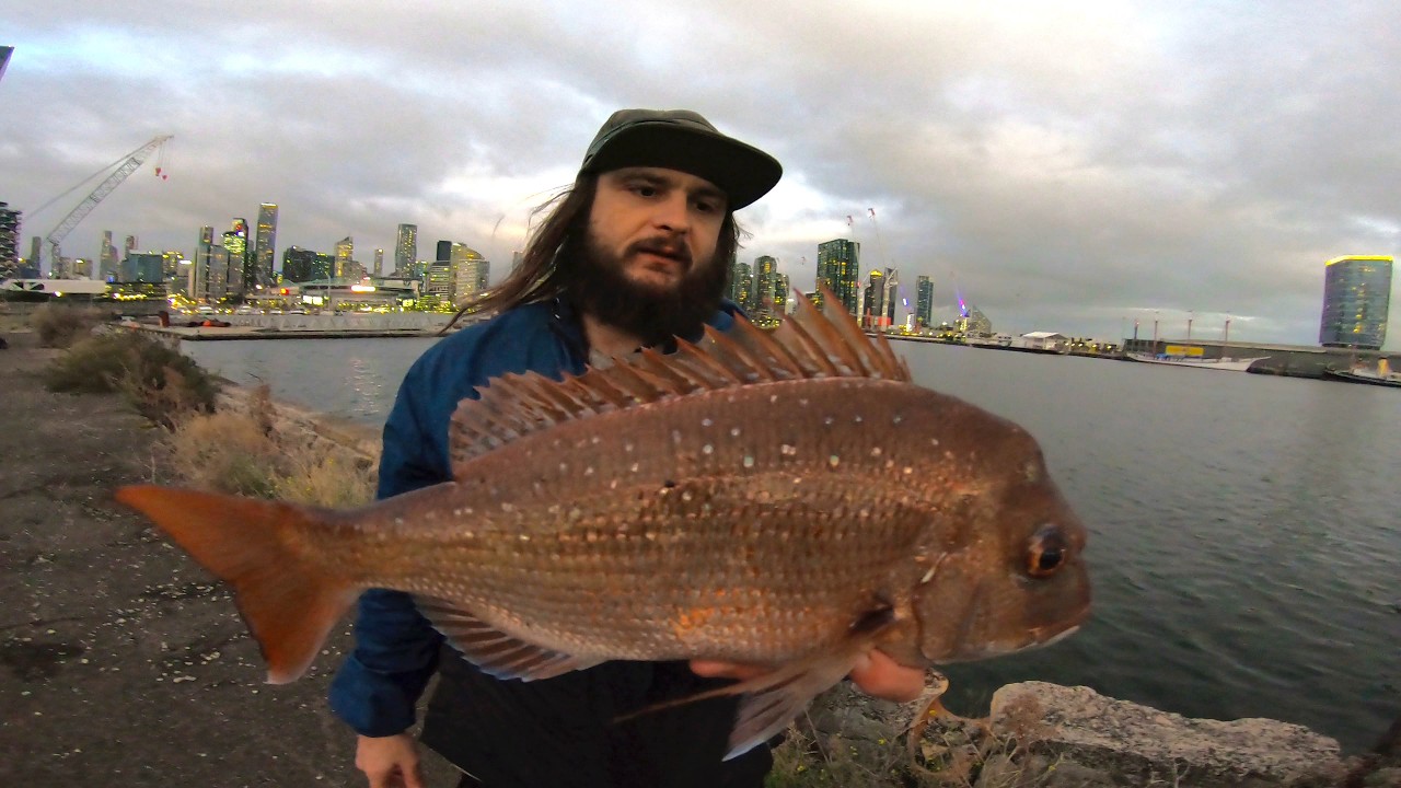 Fishing URBAN Melbourne's City Nightlife For GIANT Fish