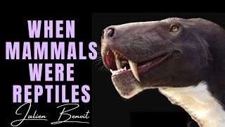 When Mammals Were Reptiles - The Synapsid Story ~ with JULIEN BENOIT