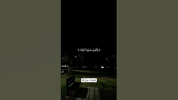 تلاوات مباركة | استمع إلى تلاوة جميلة #قران_كريم #قرآن #تلاوة_خاشعة #اكتب_شي_تؤجر_عليه