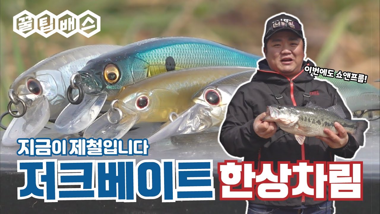 봄에는 역시 든든한 저크베이트 비빔밥 한 그륵