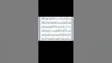 القارئ الشيخ محمد الفقيه#قرآن#اكسبلور#راحه نفسه#ماشاء الله