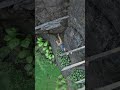 Uncharted 4 Game🔥#shorts #highrpmshorts #gamingshorts #gaming #uncharted4 #uncharted