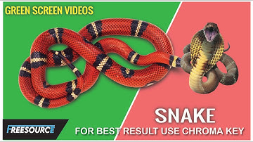 Snake Green screen videos part 1 | copyright or royalty free videos | For more visit Freesource |