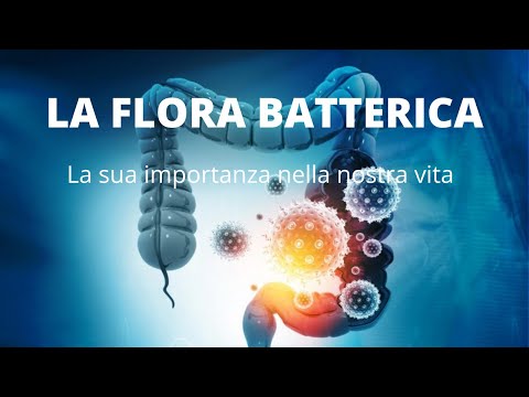 SAFIOS - Salute, Fisioterapia e Osteopatia