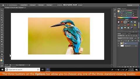 Class 7: Introduction to Photoshop 3