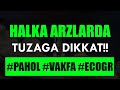 #PAHOL #VAKFA #ECOGR HİSSE HALKA ARZLARDA NELERE DİKKAT EDİLMELİ? BIST100 TRENDE GİRDİ Mİ? İZLE!