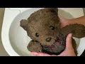 【洗濯】目をけがしているくまちゃんを洗ってみた【メルカリ】
