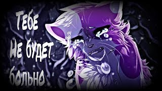 Тебе Не Будет Больно | Warriors Cats ~ Коты Воители | Clip~Клип Тебе Не Будет Больно | Warriors Cats ~ Коты Воители | Clip~Клип