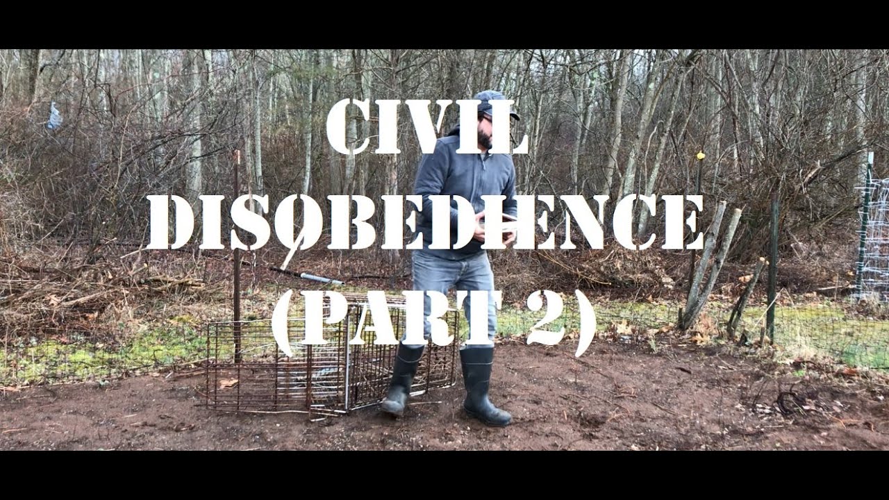 Civil Disobedience (part 2)
