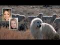 Cowboy State Daily Video News | Wed, May 20th