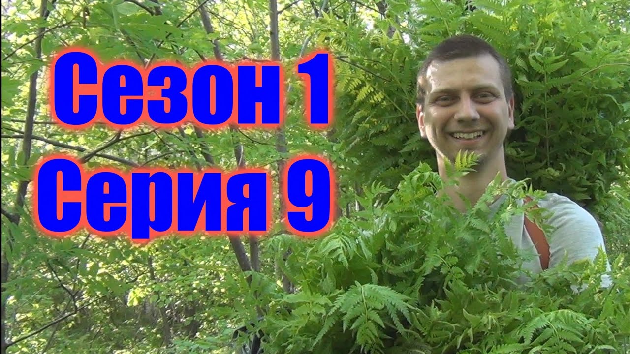 Дальневосточный Гектар 1.09 [Вторая ночь на гектаре] - YouTube