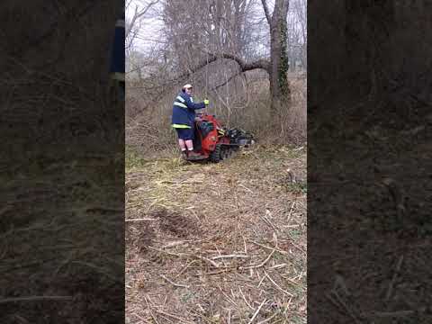 mini skid steer