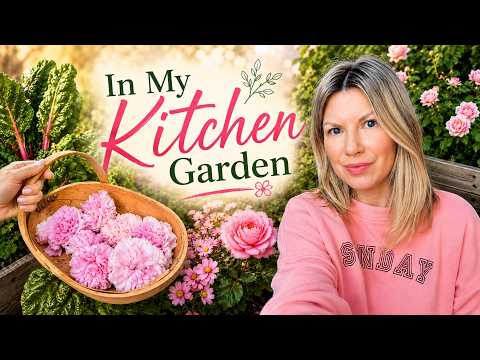 My Kitchen Garden Tour | Flowers, Herbs & Veggies 🥬🌶️🥒