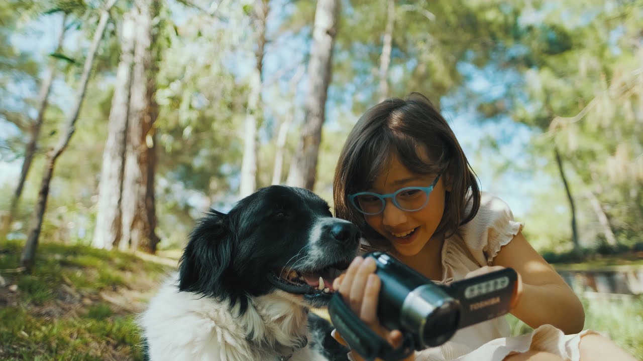 Luxy Pet Hotel | Nirvana Dolce Vita