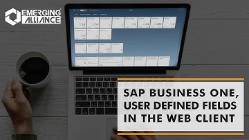 SAP BUSINESS ONE USER DEFINED FIELDS IN THE WEB CLIENT