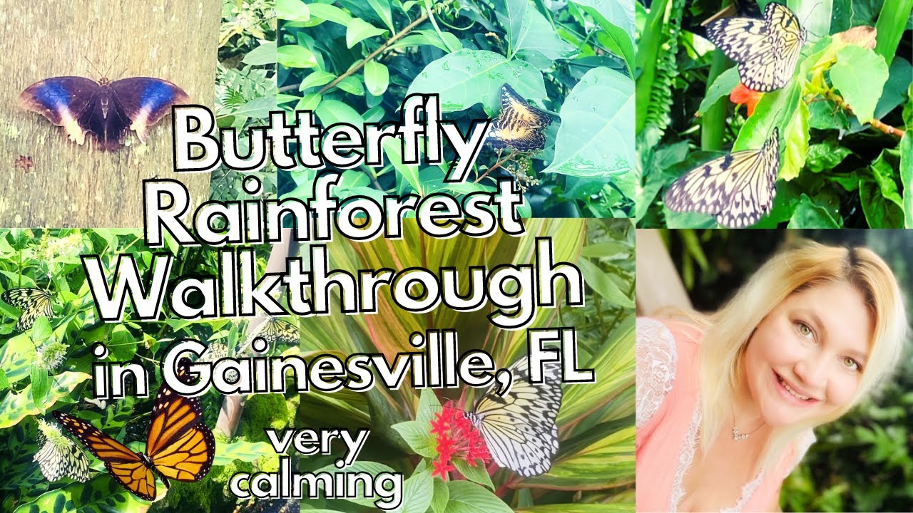 BUTTERFLY RAINFOREST THINGS TO DO IN GAINESVILLE, FLORIDA FLORIDA