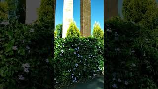 Download Lagu ##View ##khongjom MP3