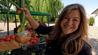 Harvesting Tomatoes, Peppers & Onions! 🍅🫑🧅 // Garden Answer
