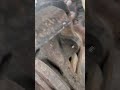 Jeep brake pad pit correction