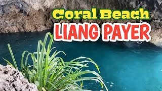 Download Lagu Wisata Coral Beach Liang Payer, Dusun Toisapu || Pantai di Ambon MP3 Download Lagu Wisata Coral Beach Liang Payer, Dusun Toisapu || Pantai di Ambon MP3