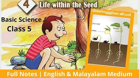 Class 5 | Basic Science | Life within the Seed | വിത്തിനുള്ളിലെ ജീവൻ  | Unit 4 | Full Notes
