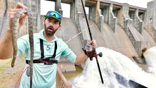 Spillway Fishing with DIAMONDBACK SNAKE for Bait... IT WORKED! -- (Non-stop Action!)