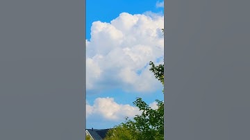 يَا أَيُّهَا النَّبِيُّ لِمَ تُحَرِّمُ مَا أَحَلَّ اللَّهُ لَكَ)القارئ❤️ عبدالعزيز سحيم ✨️❤️