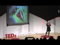 Learning styles & the importance of critical self-reflection | Tesia Marshik | TEDxUWLaCrosse