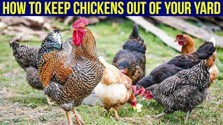 How To Keep Chickens Out Of Your Yard - 5 Easy Ways