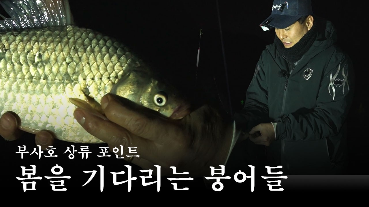 부사호_봄을 기다리는 붕어들 [ 낚시가 좋다 ep.75]