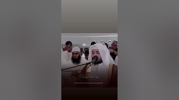 سورة المرسلات #الشيخ_هيثم_الدخين