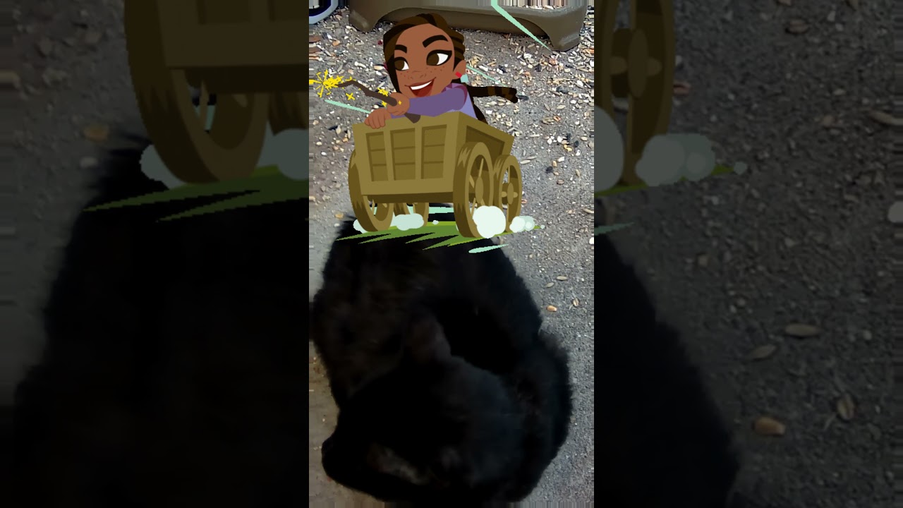 Asha From Wish Visits! ⭐