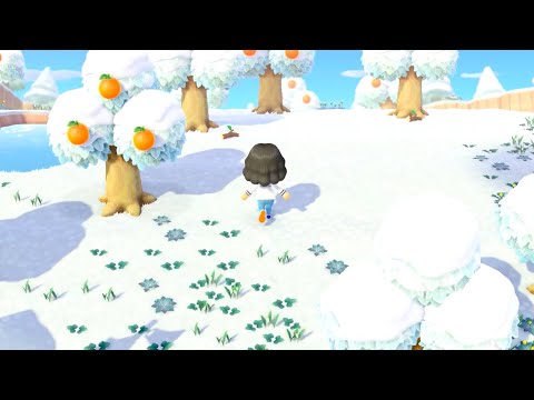 There's Something Wrong With My Animal Crossing Island - Animal Crossing New Horizons