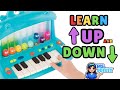 Learn Up & Down and Colors | Milestone Learning for Kids with Piano Game & Play-Based Fun | Toys