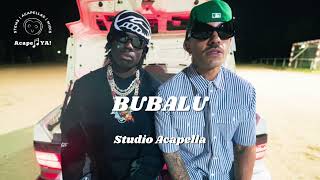 Feid ft. Rema - BUBALU (Studio Acapella)