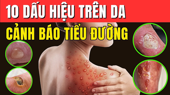 Biển hiệu lệnh có các dấu hiệu nào năm 2024