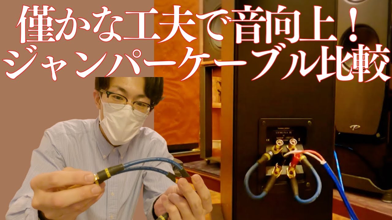 ジャンパーケーブルで音質向上化計画】WireWorldのジャンパーケーブル