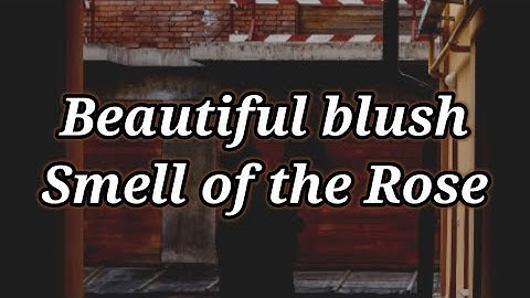 Romantic Love Poems 💘 || Beautiful Blush Smell Of The Rose 🌹|| Love poetry ❤ || Deep Love Poems 💘